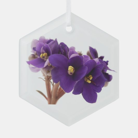 Afrikanische Violet Ornament Aus Glas (Vorderseite)