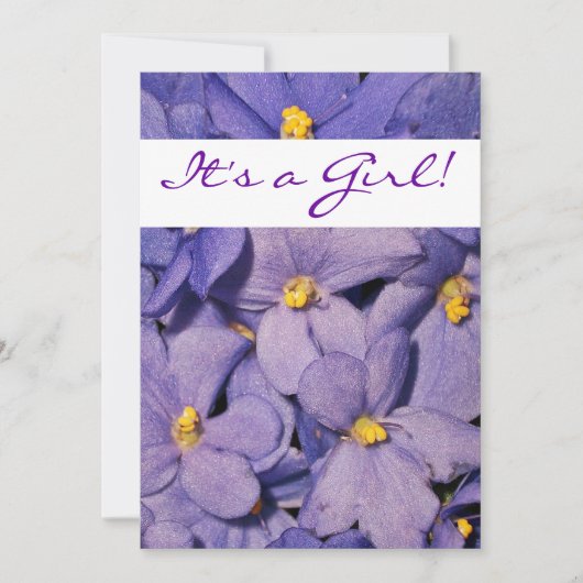 afrikanische Violets Babydusche Einladung (Vorderseite)