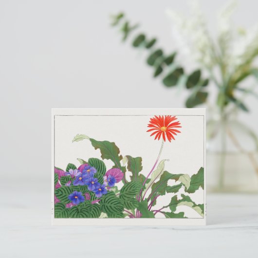 Afrikanische Violette Gerbera von Tanigami Konan Postkarte (Stehend Vorderseite)