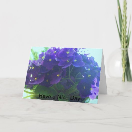 Afrikanische Violetten Karte (Vorderseite)