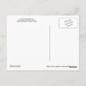 Afrikanische Vögel: Kori Bustard Postkarte (Rückseite)