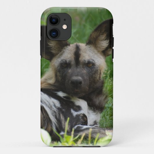 Afrikanische wilde Hunde Case-Mate iPhone Hülle (Rückseite)