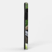 Afrikanische wilde Hunde Case-Mate iPhone Hülle (Hinten/Rechts)