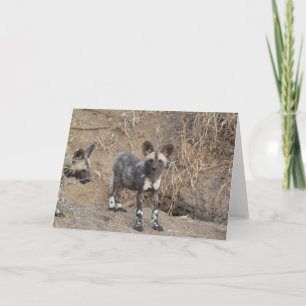 AFRIKANISCHE WILDHUND-WELPEN KARTE