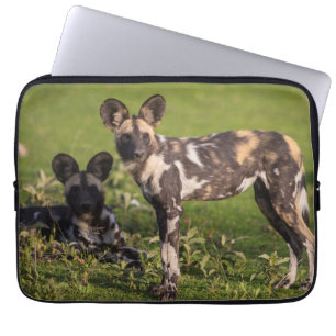 Afrikanische Wildhunde in Tansania Laptopschutzhülle