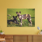 Afrikanische Wildhunde in Tansania Leinwanddruck (Insitu (Wohnzimmer))
