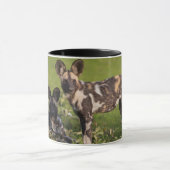 Afrikanische Wildhunde in Tansania Tasse (Zentrum)