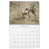 AFRIKANISCHE WILDHUNDE KALENDER (Jan 2027)