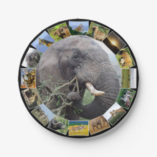 Afrikanische Wildlife Foto Collage Elephant Bull Pappteller