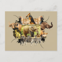 afrikanische Wildlife Frame Elephant Splash