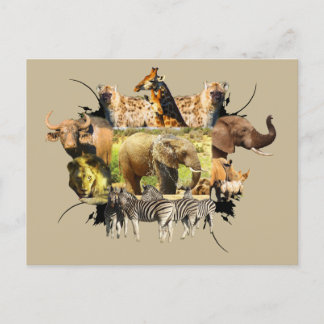 afrikanische Wildlife Frame Elephant Splash Postkarte