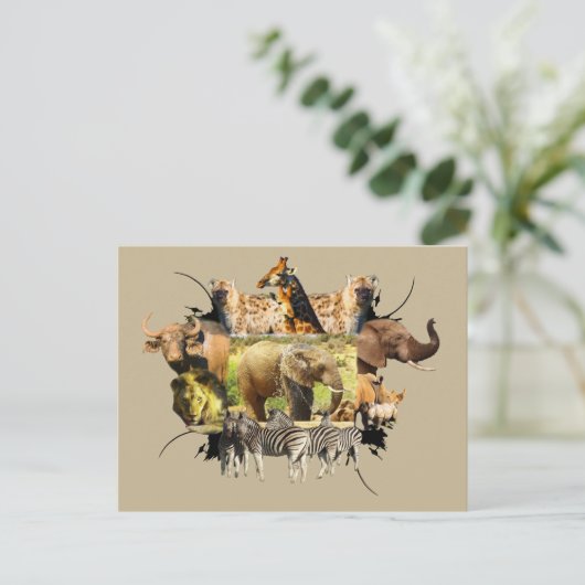 afrikanische Wildlife Frame Elephant Splash Postkarte (Stehend Vorderseite)