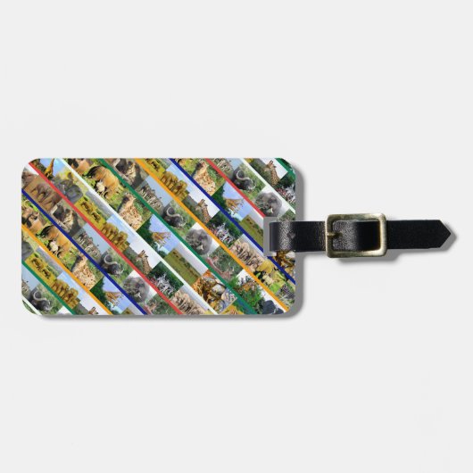 Afrikanische Wildtiere gestreift mehrfarbige Colla Gepäckanhänger (Vorderseite horizontal)