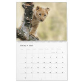 Afrikanische Wildtiere Kalender (Jan 2027)