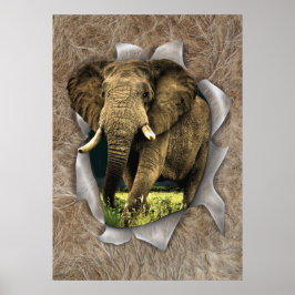 Afrikanische Wildtiere Poster