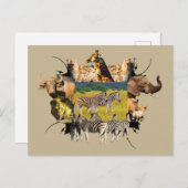 Afrikanische Wildtiere - Rahmen Zebra Postkarte (Vorne/Hinten)