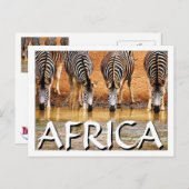 AFRIKANISCHE ZEBRA - (Mojisola Onifade) Postkarte (Vorne/Hinten)