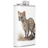 Afrikanische Zibetkatze Flachmann (Rechts)