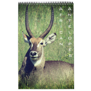 afrikanischer Antilopen-Safari 2027 Kalender