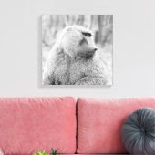Afrikanischer Baboon Leinwanddruck (Insitu (Wohnzimmer))