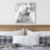 Afrikanischer Baboon Leinwanddruck (Insitu (Schlafzimmer))