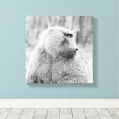 Afrikanischer Baboon Leinwanddruck (Insitu (Holzboden))