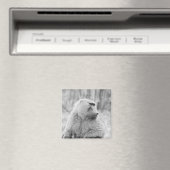 Afrikanischer Baboon Magnet (In Situ (Geschirrspüler))