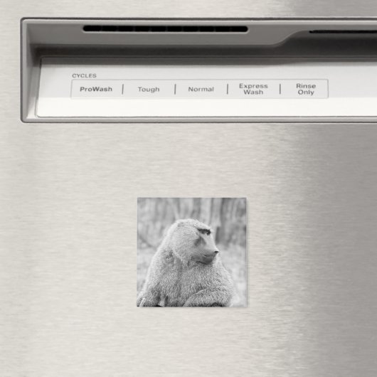 Afrikanischer Baboon Magnet (In Situ (Geschirrspüler))