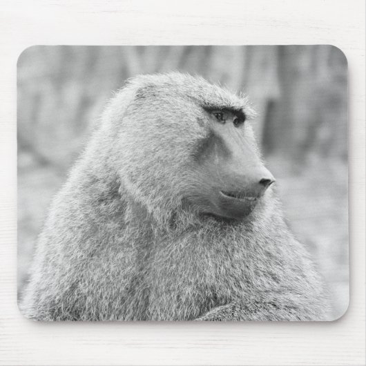 Afrikanischer Baboon Mousepad (Vorne)