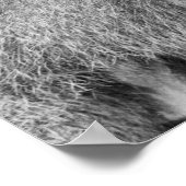 Afrikanischer Baboon Poster (Ecke)