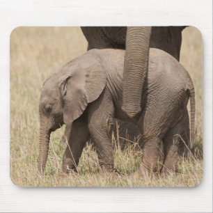 Afrikanischer Baby-Elefant mit Mutter Mousepad