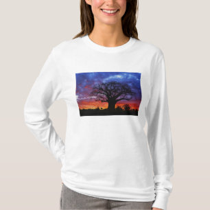 Afrikanischer Baobab, Adansonia digitata, 2 T-Shirt