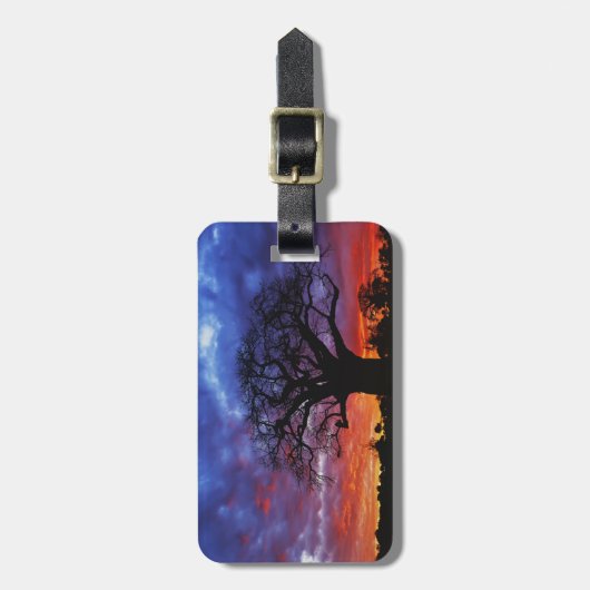 Afrikanischer Baobab-Baum, Adansonia digitata, 2 Gepäckanhänger (Vorderseite vertikal)