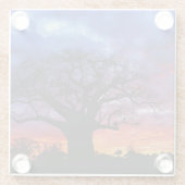 Afrikanischer Baobab-Baum, Adansonia digitata 2 Glasuntersetzer (Rückseite)