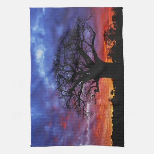 Afrikanischer Baobab-Baum, Adansonia digitata, 2 Küchentuch (Vertikal)