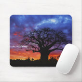 Afrikanischer Baobab-Baum, Adansonia digitata, 2 Mousepad (Mit Mouse)