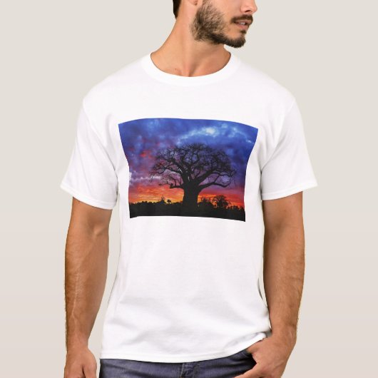Afrikanischer Baobab-Baum, Adansonia digitata, 2 T-Shirt (Vorderseite)