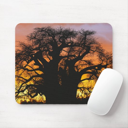 Afrikanischer Baobab-Baum, Adansonia digitata, Mousepad (Mit Mouse)