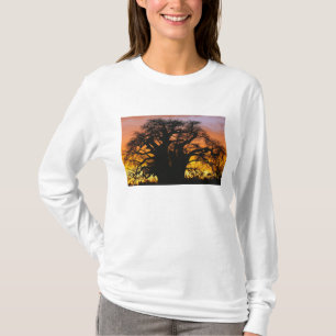 Afrikanischer Baobab-Baum, Adansonia digitata, T-Shirt