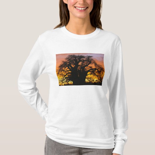 Afrikanischer Baobab-Baum, Adansonia digitata, T-Shirt (Vorderseite)