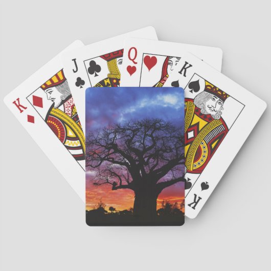 Afrikanischer Baobabbaum, Adansonia digitata, 2 Spielkarten (Rückseite)