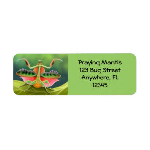 Afrikanischer betender Mantis-Aufkleber