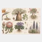 "Afrikanischer Botanischer Atlas Geschenkpapier Set (Vorderseite)