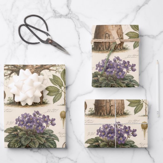 "Afrikanischer Botanischer Atlas Geschenkpapier Set (Vorderseite)