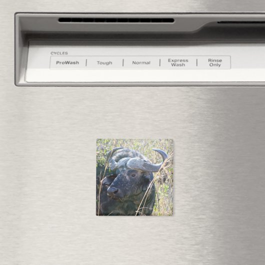 Afrikanischer Büffel Magnet (In Situ (Geschirrspüler))