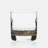 Afrikanischer Büffel Whiskyglas (Rechts)