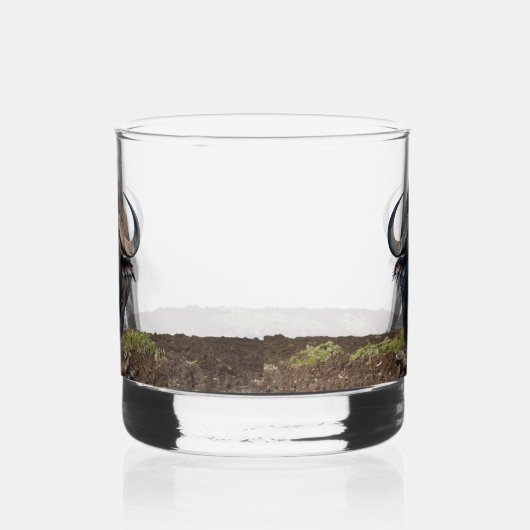 Afrikanischer Büffel Whiskyglas (Rechts)