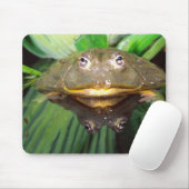 Afrikanischer Burrowing Bullfrog, Pyxicephalus 2 Mousepad (Mit Mouse)
