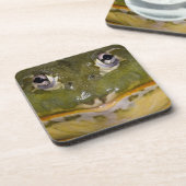 Afrikanischer Burrowing Bullfrog, Pyxicephalus Getränkeuntersetzer (Linke Seite)