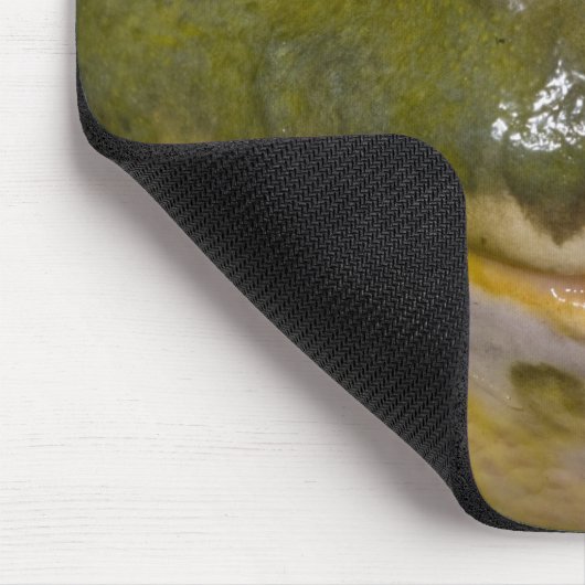 Afrikanischer Burrowing Bullfrog, Pyxicephalus Mousepad (Ecke)